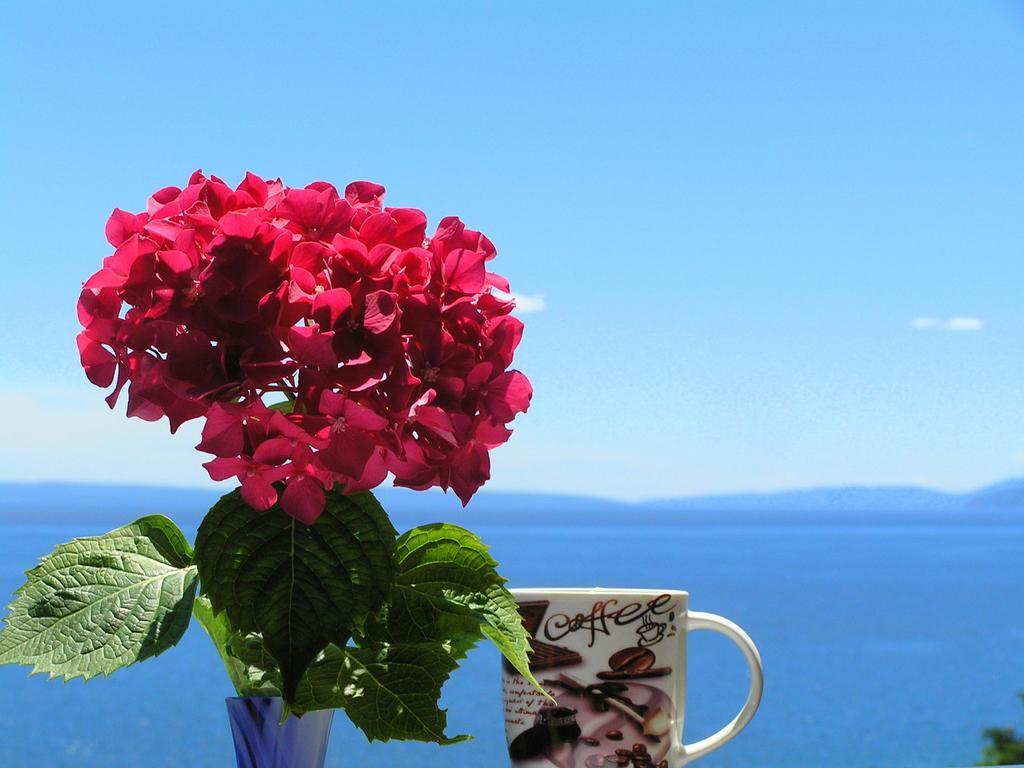 Guest House Lifestyle Holiday أوباتيا الغرفة الصورة